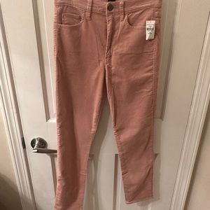 Gap Velvet Jeans 27P NWT